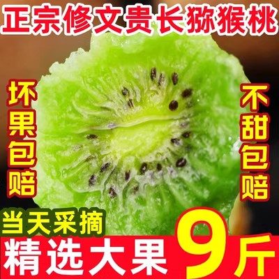 正宗贵州修文贵长猕猴桃绿心奇异果当季孕妇水果新鲜9斤大果包邮