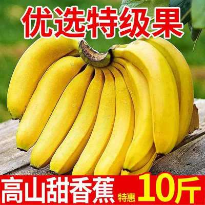 广西高山香蕉9斤新鲜当季水果整箱大芭蕉叶小米蕉甜香焦10自然熟