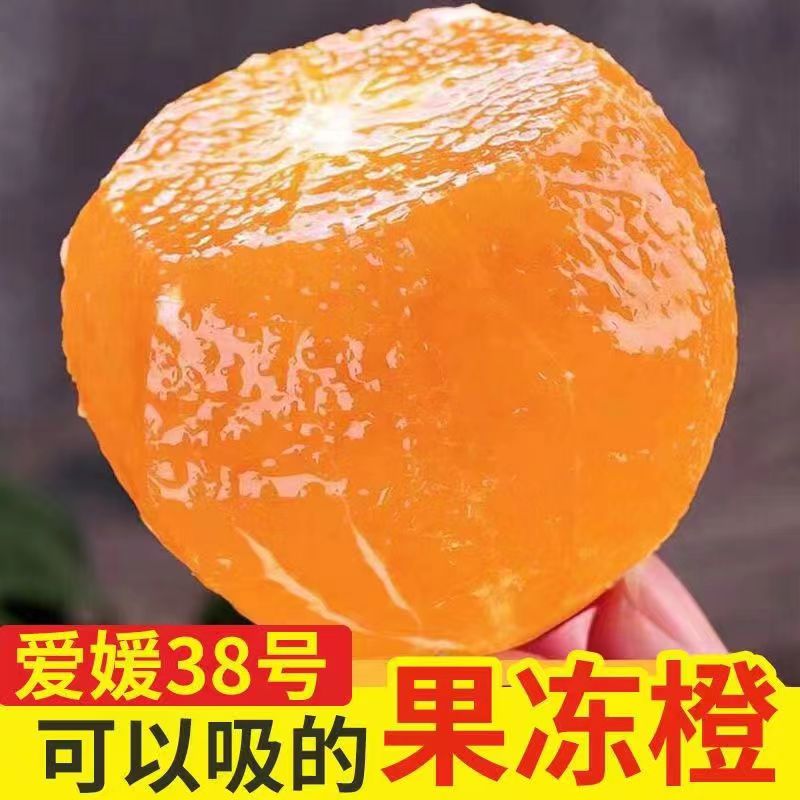 四川眉山爱媛38号果冻橙4.5斤橙子新鲜当季水果整箱手剥橙包邮10