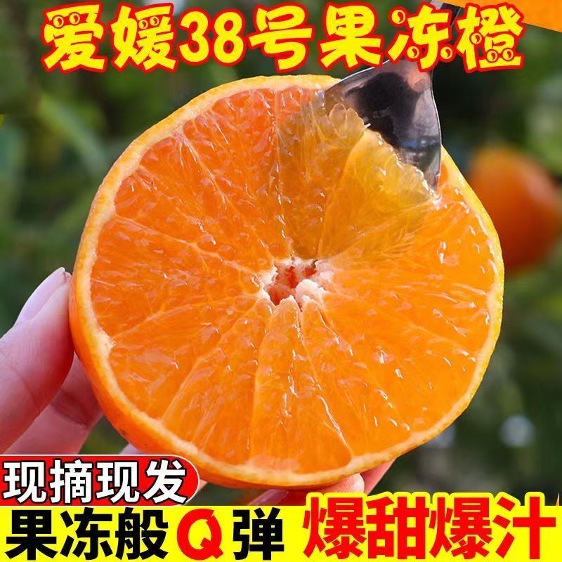 四川正宗爱媛38号果冻橙当季新鲜现摘整箱水果薄皮橙子橘子超甜