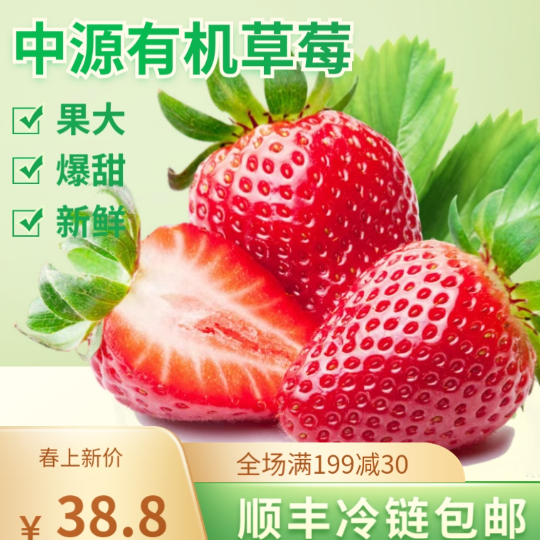 草莓新鲜大果超甜有机奶油赣西北草莓整箱批发应季水果