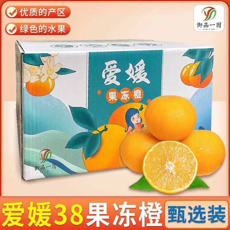 【礼盒装】四川爱媛38果冻橙4.5/8斤新鲜当季水果橙子柑橘蜜桔