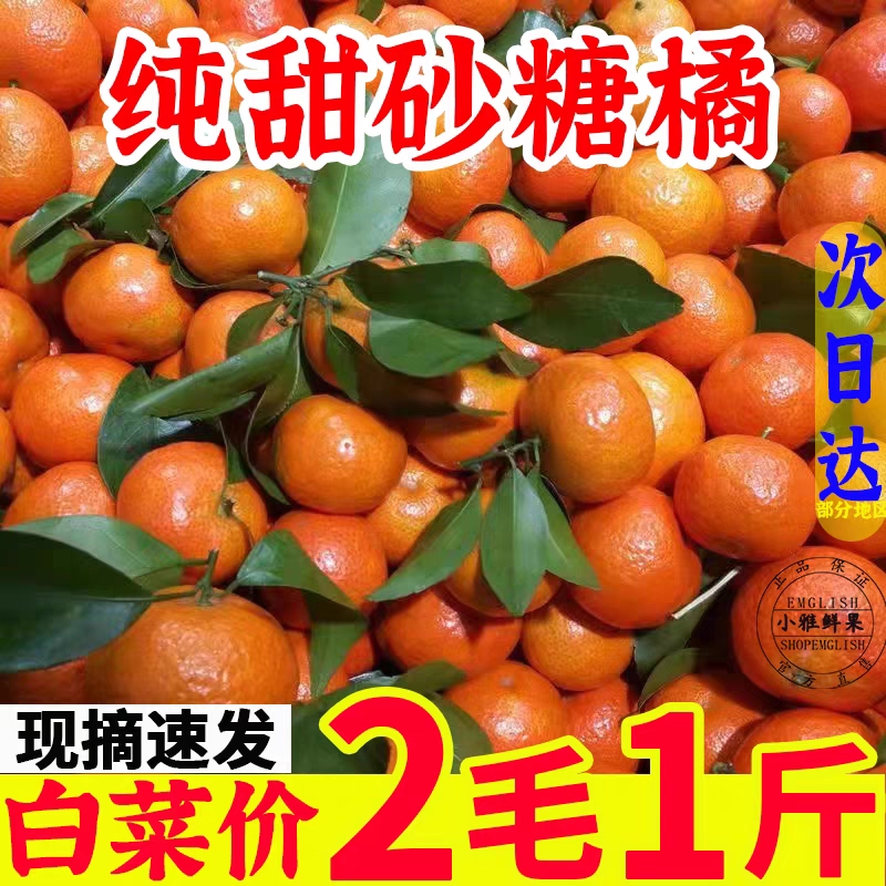 c橙子
