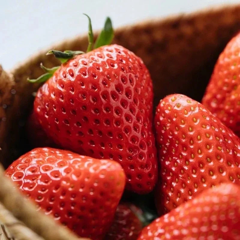 丹东红颜九九草莓，一咬下满嘴爆汁，清香无比，甜度高，，口感细腻，满满都是阳光的味道。