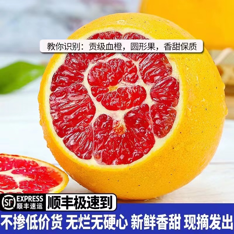 血橙新鲜水果10斤秭归中华红橙子新鲜水果当季整箱雪橙礼盒装顺丰