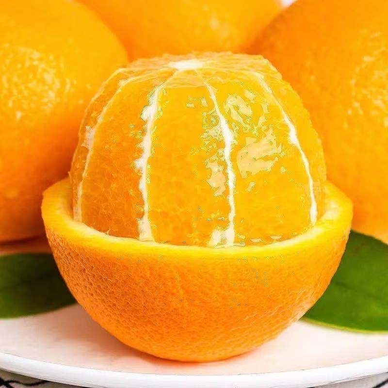 四川山区橙子9斤新鲜现摘脐橙锦橙手剥橙子酸甜多汁橙子非赣南