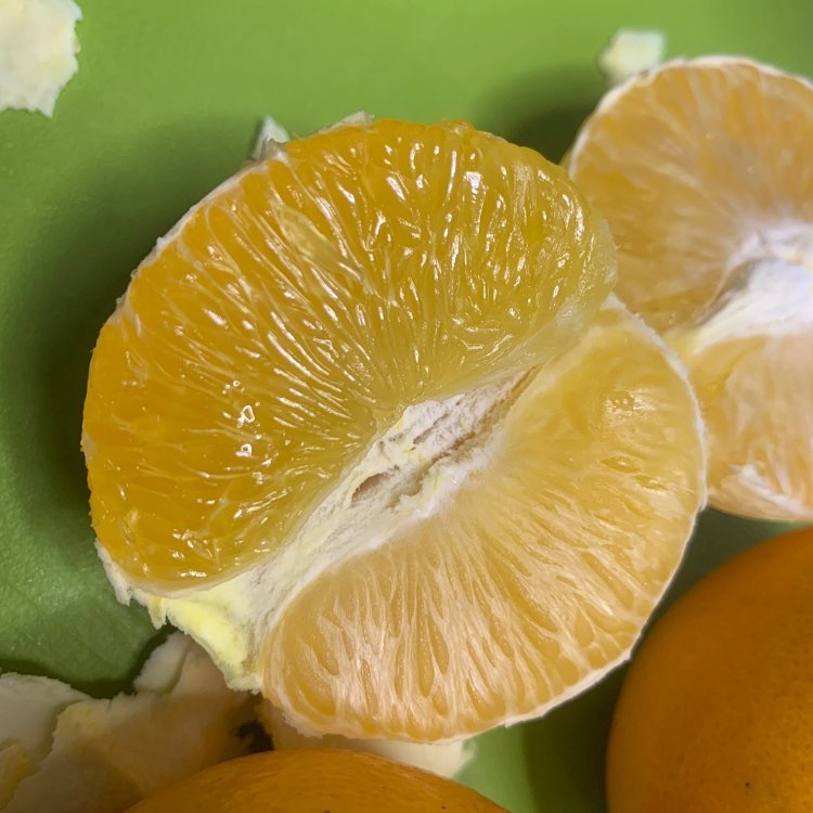 永兴甜橙 湖南郴州永兴县的小金果 甜度高 耐存放 紧实的冬季水果 供销社实力护航 