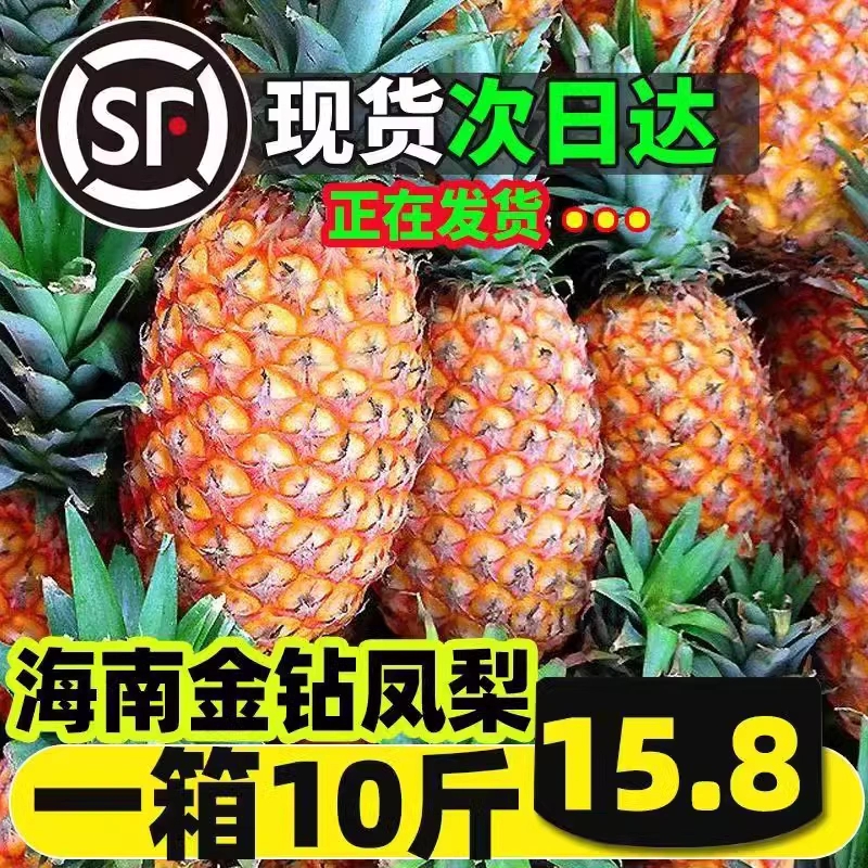 新鲜水果当季香水菠萝特产