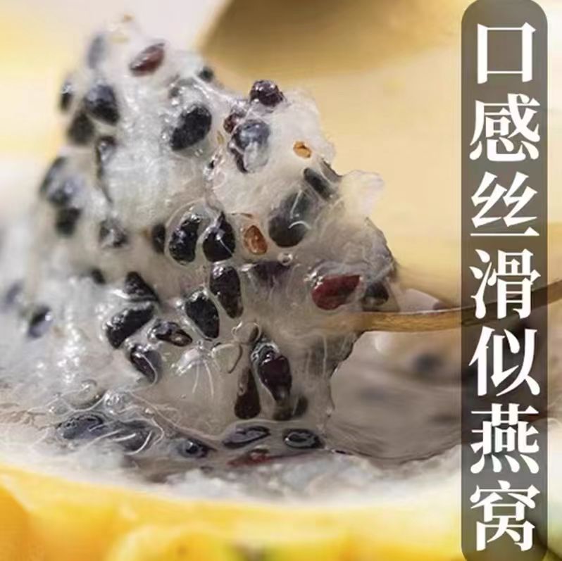 官方原产地 海南省果甜燕窝果 5斤 新鲜麒麟果现摘发货高端稀有水果