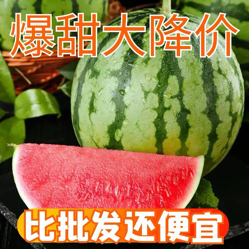 【正宗】现摘麒麟超甜薄皮8424西瓜应季批发整箱无籽有籽新鲜水果