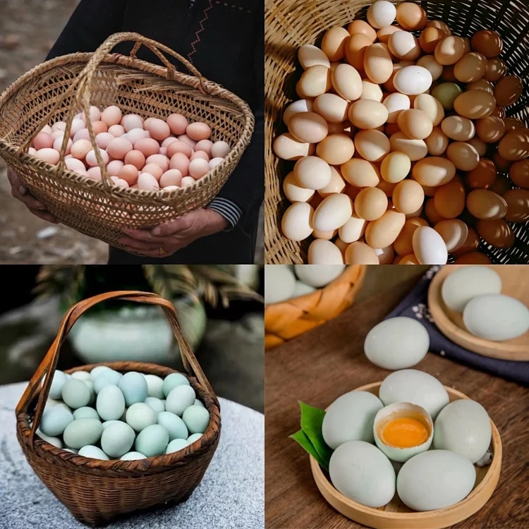 九华山自然散养土鸡蛋/乌鸡蛋