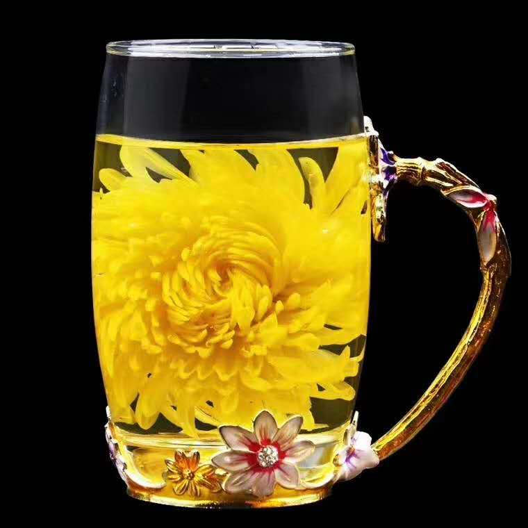 2020年新花金丝黄菊一朵一杯亲热解读