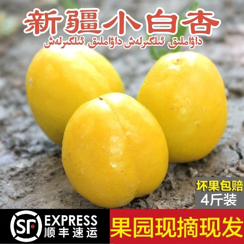新疆小白杏新鲜 库车轮台小白杏4斤甜杏子水果新疆白杏顺丰包邮